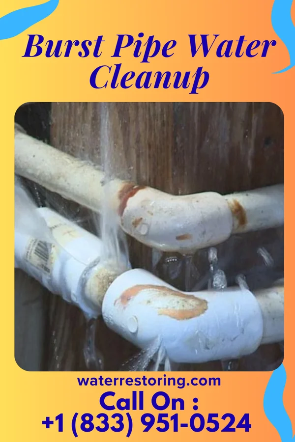 Burst Pipe Water Cleanup in New Market, MO