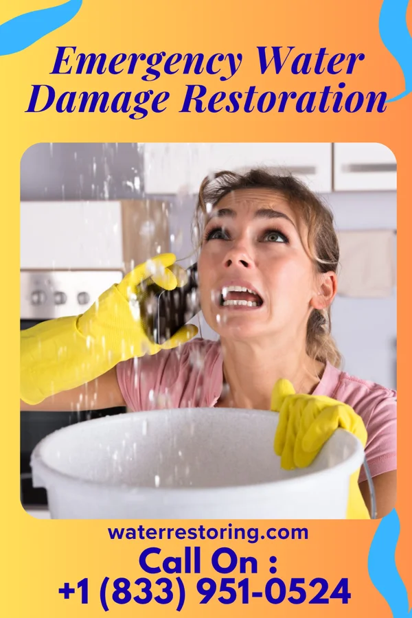 Emergency Water Damage Restoration in New Market, MO