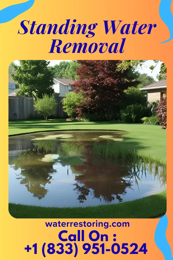 Standing Water Removal in New Market, MO